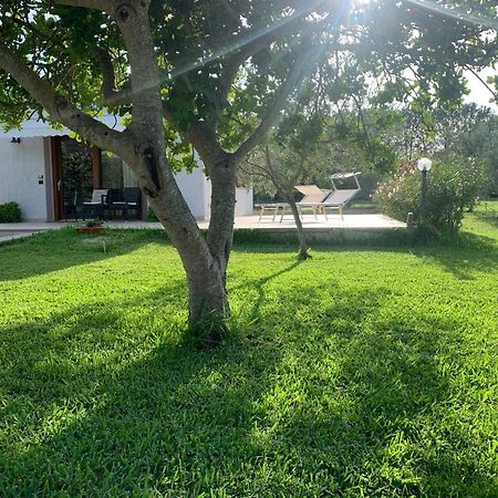 La Casetta Holiday Home ألغيرو المظهر الخارجي الصورة