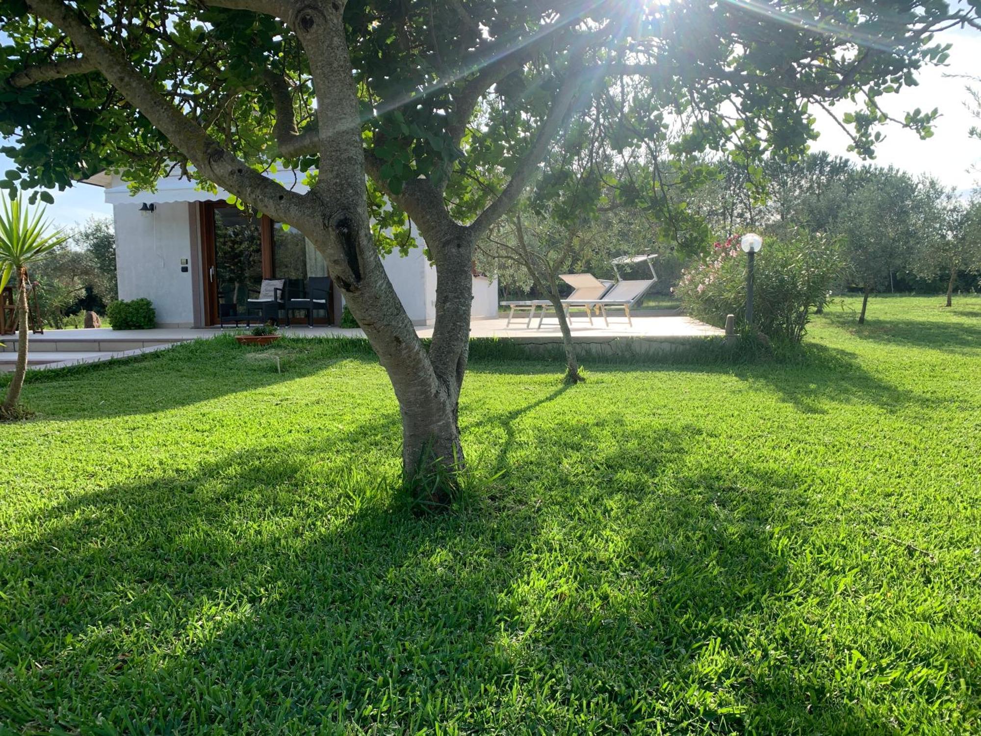 La Casetta Holiday Home ألغيرو المظهر الخارجي الصورة